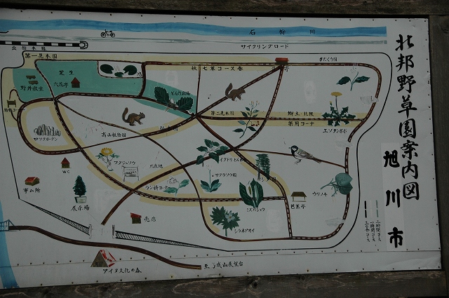 f0157901_2059485.jpg