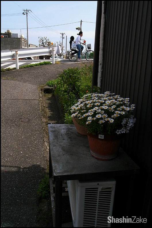 c0102003_12524078.jpg