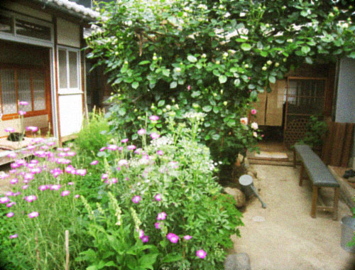 d0077603_9522252.jpg