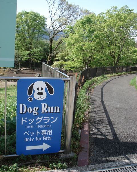 b0148106_1012960.jpg