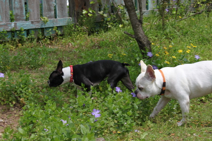 a0147507_2285034.jpg