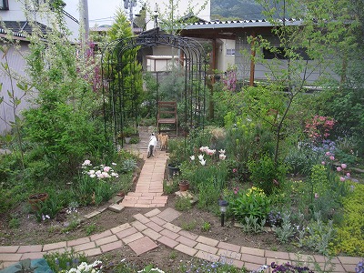 c0117007_21223347.jpg