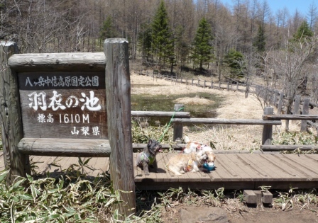 e0078510_23392982.jpg
