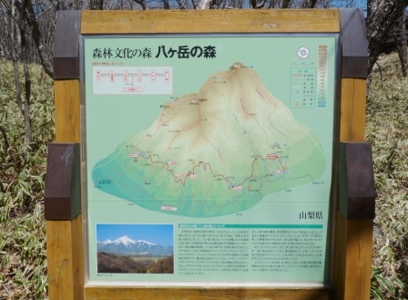 e0078510_233949.jpg