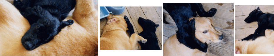 c0017311_9284549.gif