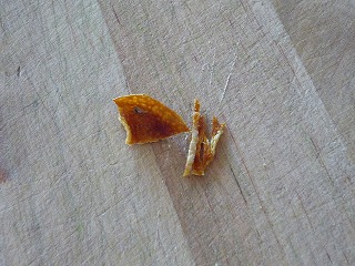 c0149312_7371931.jpg