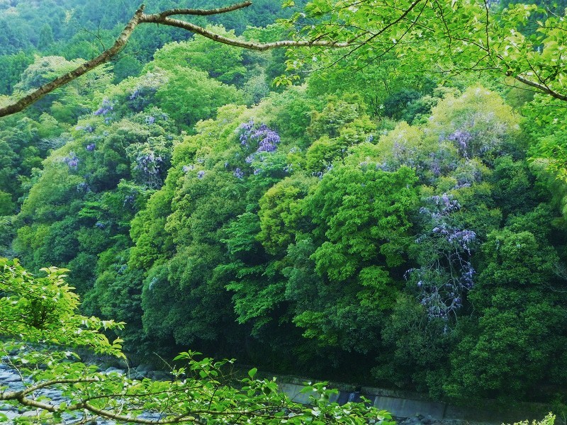 f0182513_0593015.jpg