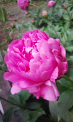 e0009714_1601932.jpg
