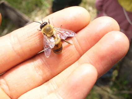e0015915_937370.jpg
