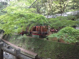 f0067815_011330.jpg