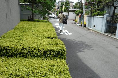b0167519_13443128.jpg