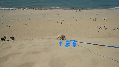 c0060920_22214328.jpg