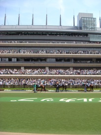 b0089323_10555662.jpg