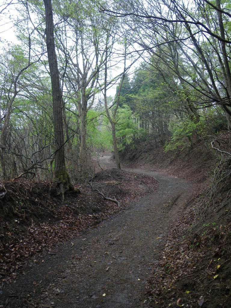 c0189724_22305341.jpg