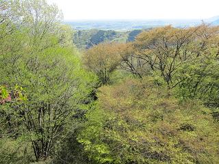 c0051529_2249468.jpg