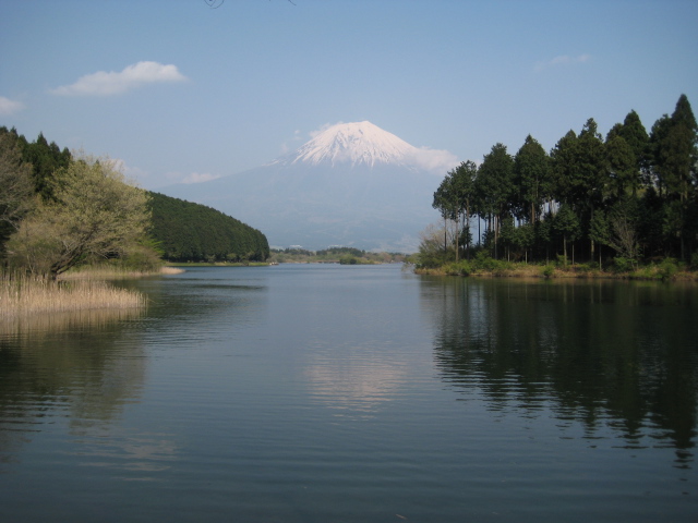 d0064329_16325388.jpg