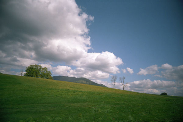 d0036630_21573726.jpg