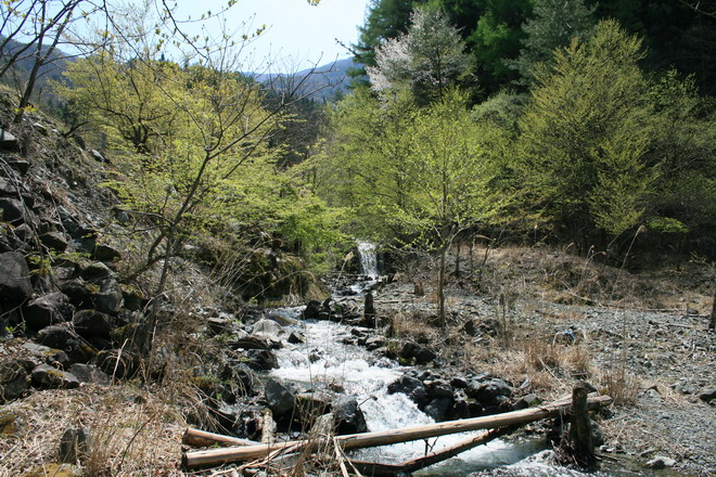 c0035931_2204193.jpg