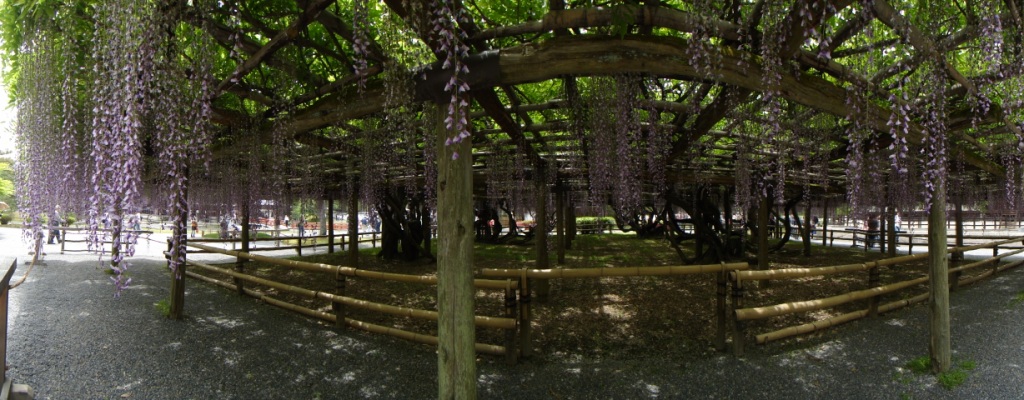 f0088231_1615249.jpg