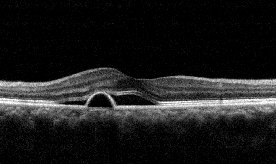 f0088231_19434188.jpg
