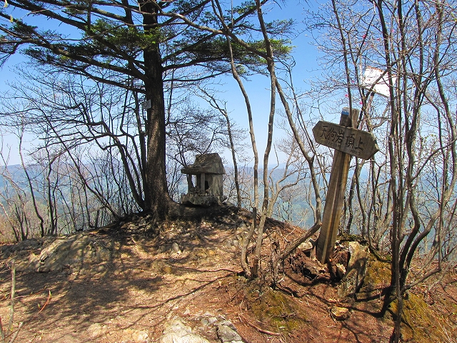 b0097836_1437270.jpg