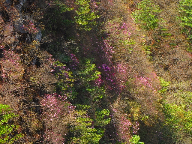 b0097836_1439756.jpg
