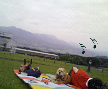 a0135840_11183985.jpg