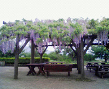 a0135840_11193248.jpg