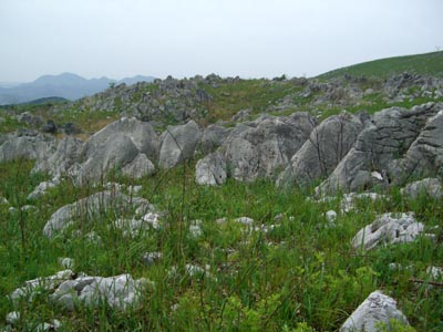 e0110940_15131441.jpg
