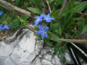 e0110940_15145964.jpg