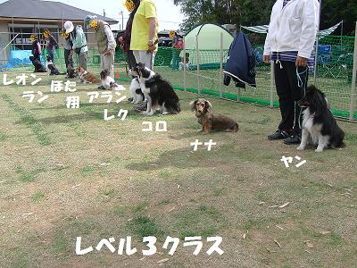 f0186040_0325474.jpg