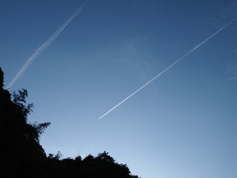 a0146442_7355993.jpg