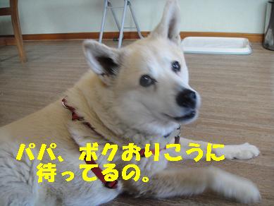 c0211642_17571361.jpg