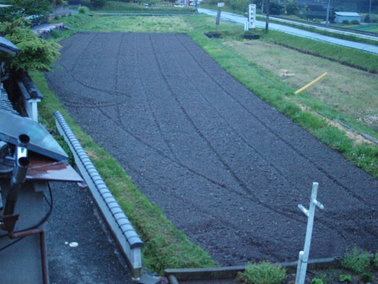 c0072843_1992996.jpg