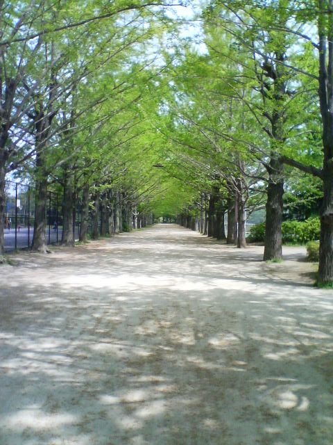 d0151144_919196.jpg