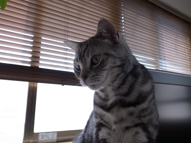 d0075945_0242650.jpg