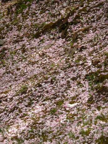 c0057946_22102766.jpg