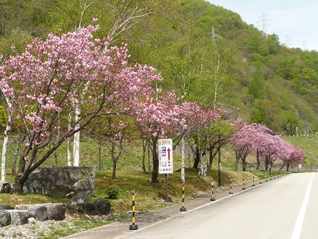 c0057946_22124964.jpg