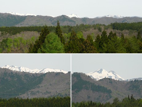 c0057946_2273823.jpg