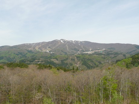 c0057946_227614.jpg
