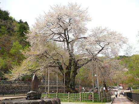 c0057946_2283469.jpg