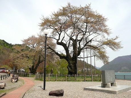 c0057946_228445.jpg