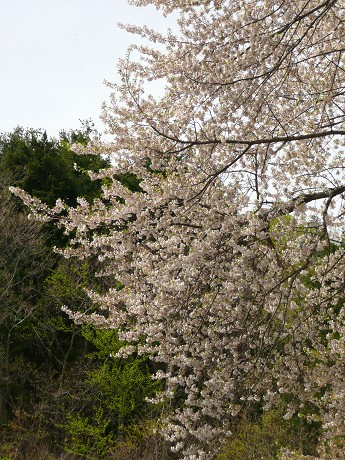 c0057946_2291568.jpg