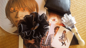 c0200849_13171424.gif