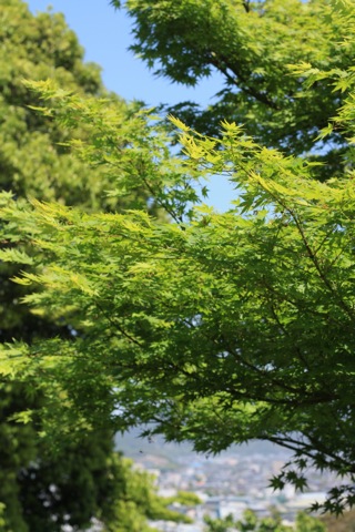 e0171249_9431638.jpg