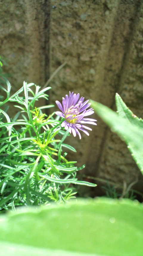 e0063653_16304842.jpg