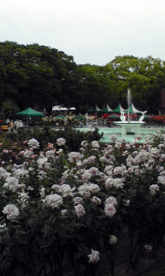 c0151756_8431887.jpg