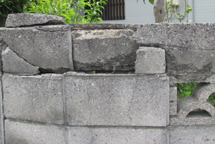 e0145259_635201.jpg