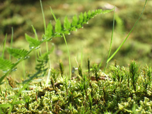 c0011862_22180100.jpg