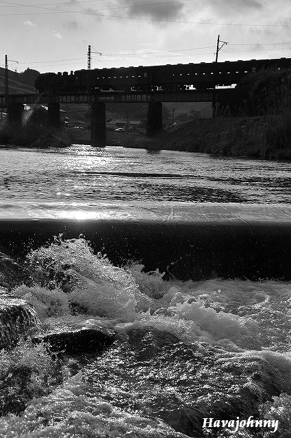 c0173762_1958094.jpg